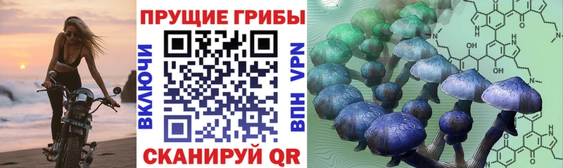 Купить закладки  Ангарск  Псилоцибиновые грибы ЛСД 